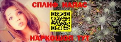 стаф Бузулук
