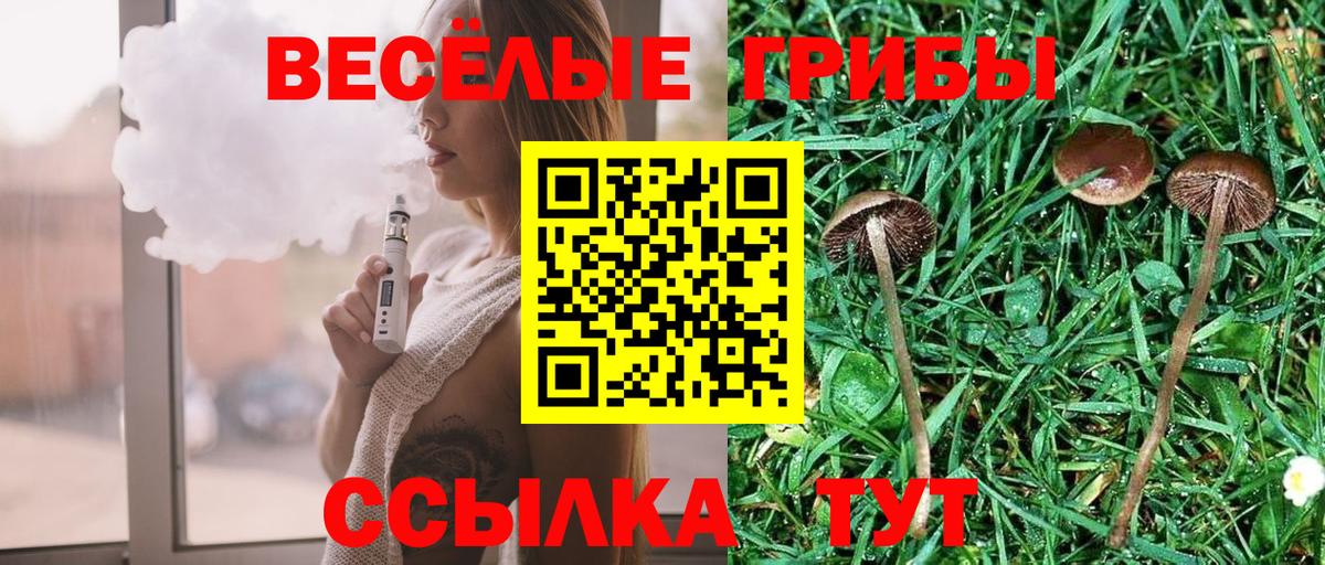Галлюциногенные грибы мухоморы  Галлюциногенные грибы Magic Shrooms  Вход с VPN  Татарск 